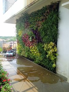 vertikal garden