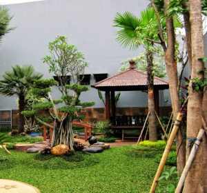 jasa  taman gratis survey