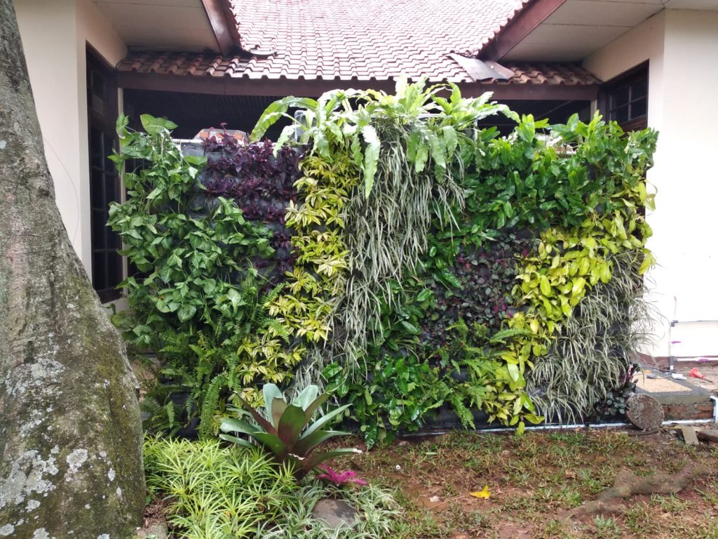 Apa itu vertikal garden