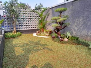 jasa pembuatan taman