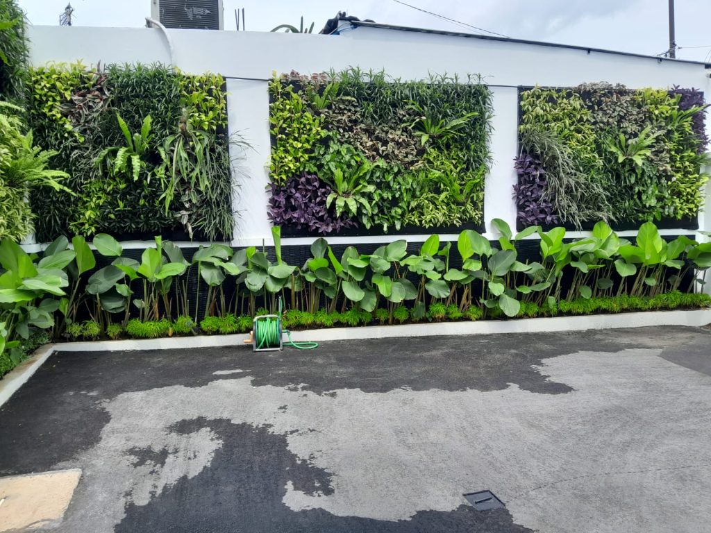 vertical garden